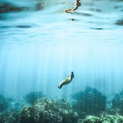 Underwater image.